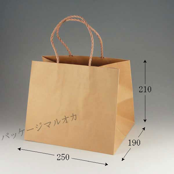 商品画像：031717-0571