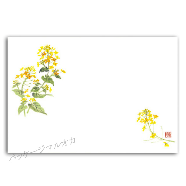 商品画像：061115-0851