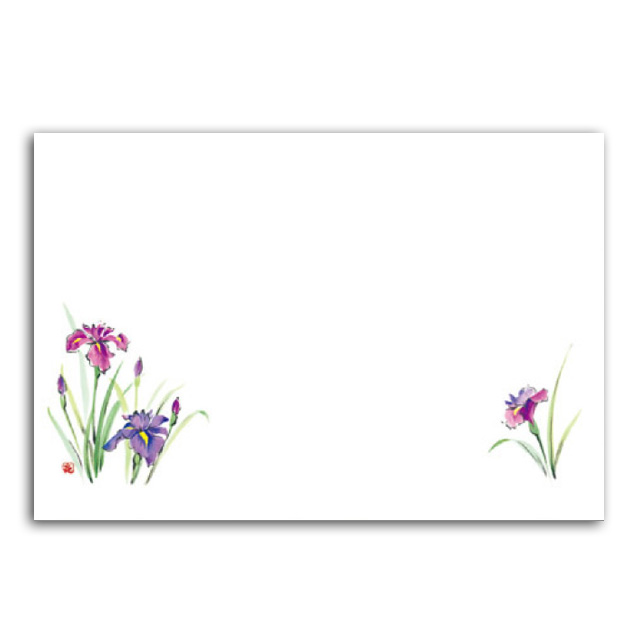 商品画像：061116-0831