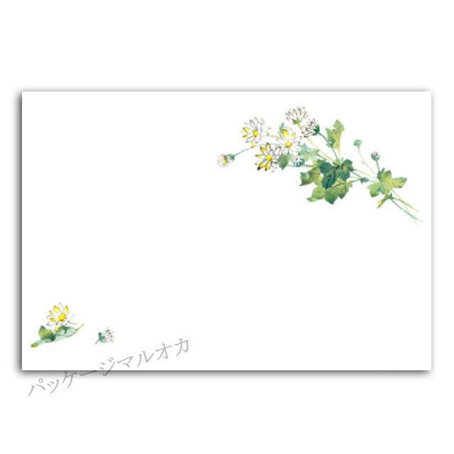 商品画像：061116-5551