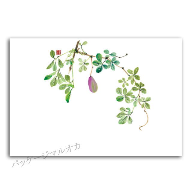 商品画像：061116-5621