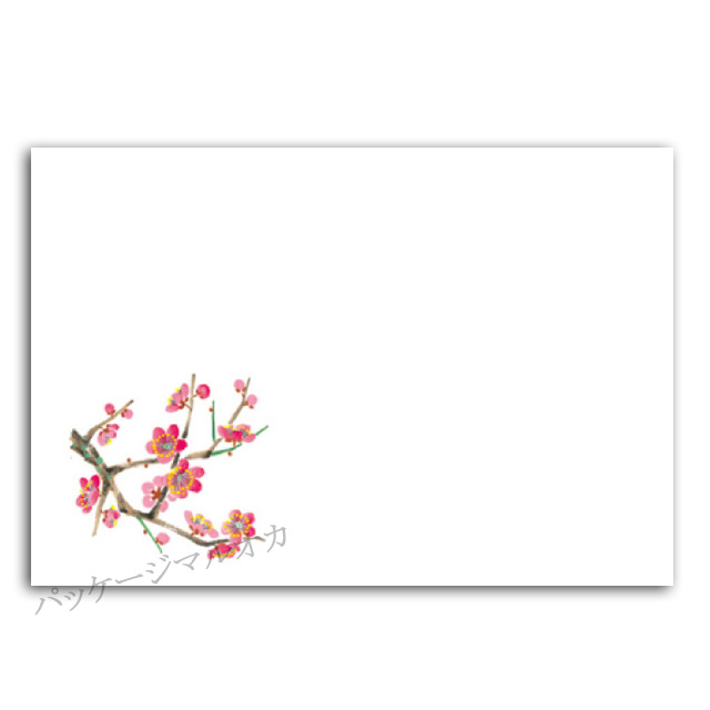 商品画像：061116-5803