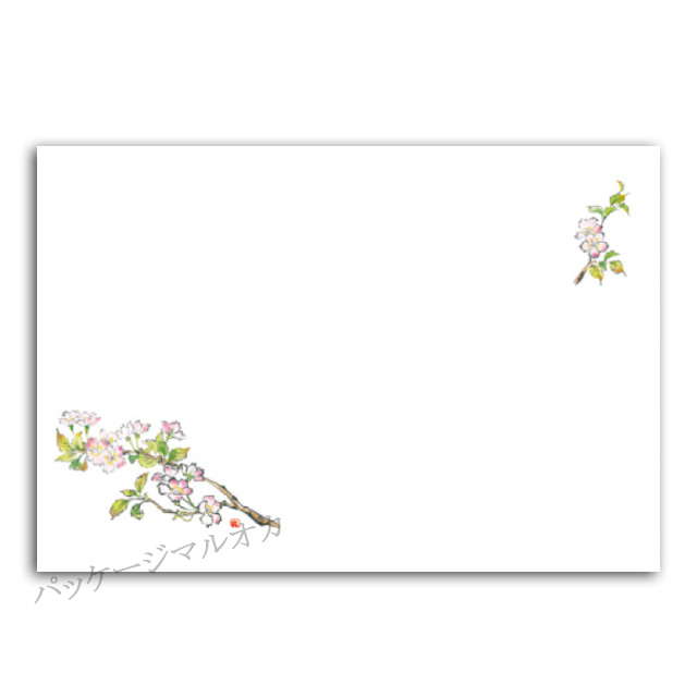 商品画像：061116-5811