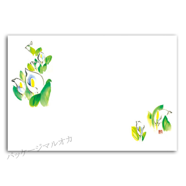 商品画像：061116-6003