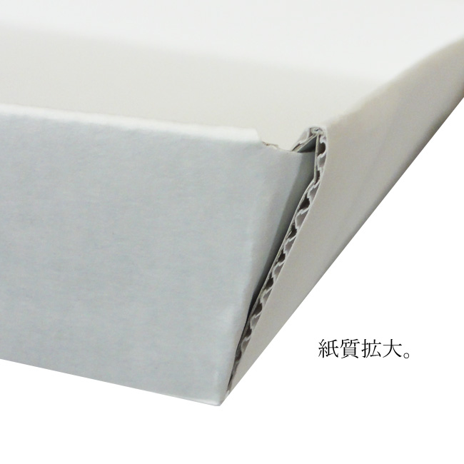 商品画像：061204-3541_3