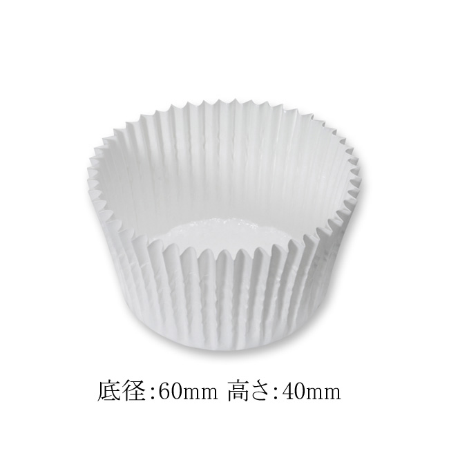 商品画像：100202-0081