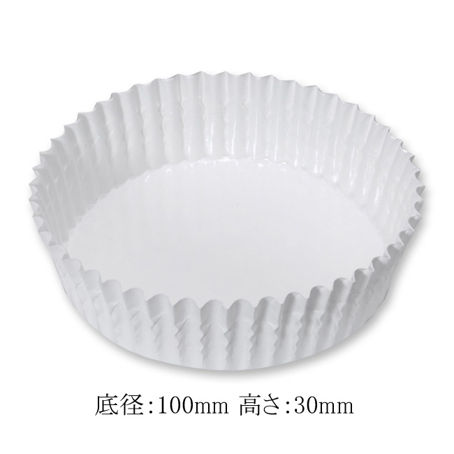 商品画像：100202-0241